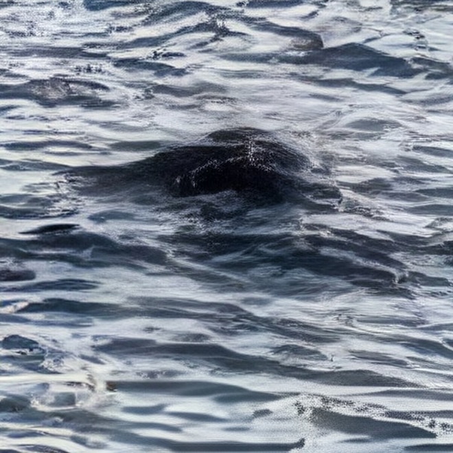 First Loch Ness Monster Sighting of 2025 Reported: All the Details